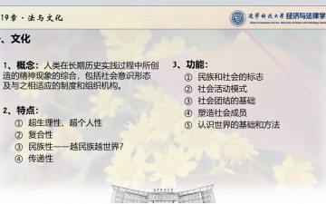 法理学·19法与文化