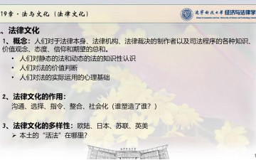 法理学·19法与文化